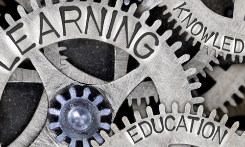 Learning Cogs