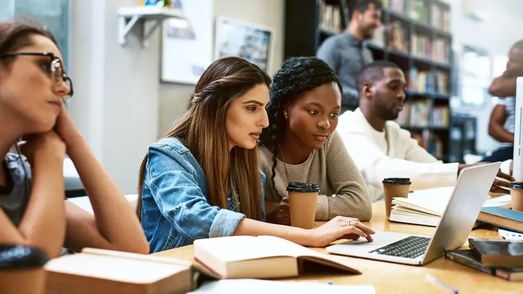 Business Management, University 1st and 2nd Year (Level 4 and 5)